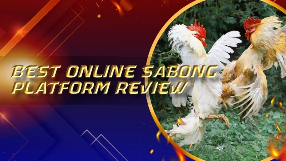 best online sabong platforms