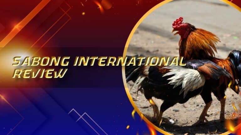 Sabong International | Comprehensive Review